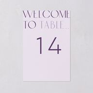 Real Talk Table Numbers Sheer Lilac Signature