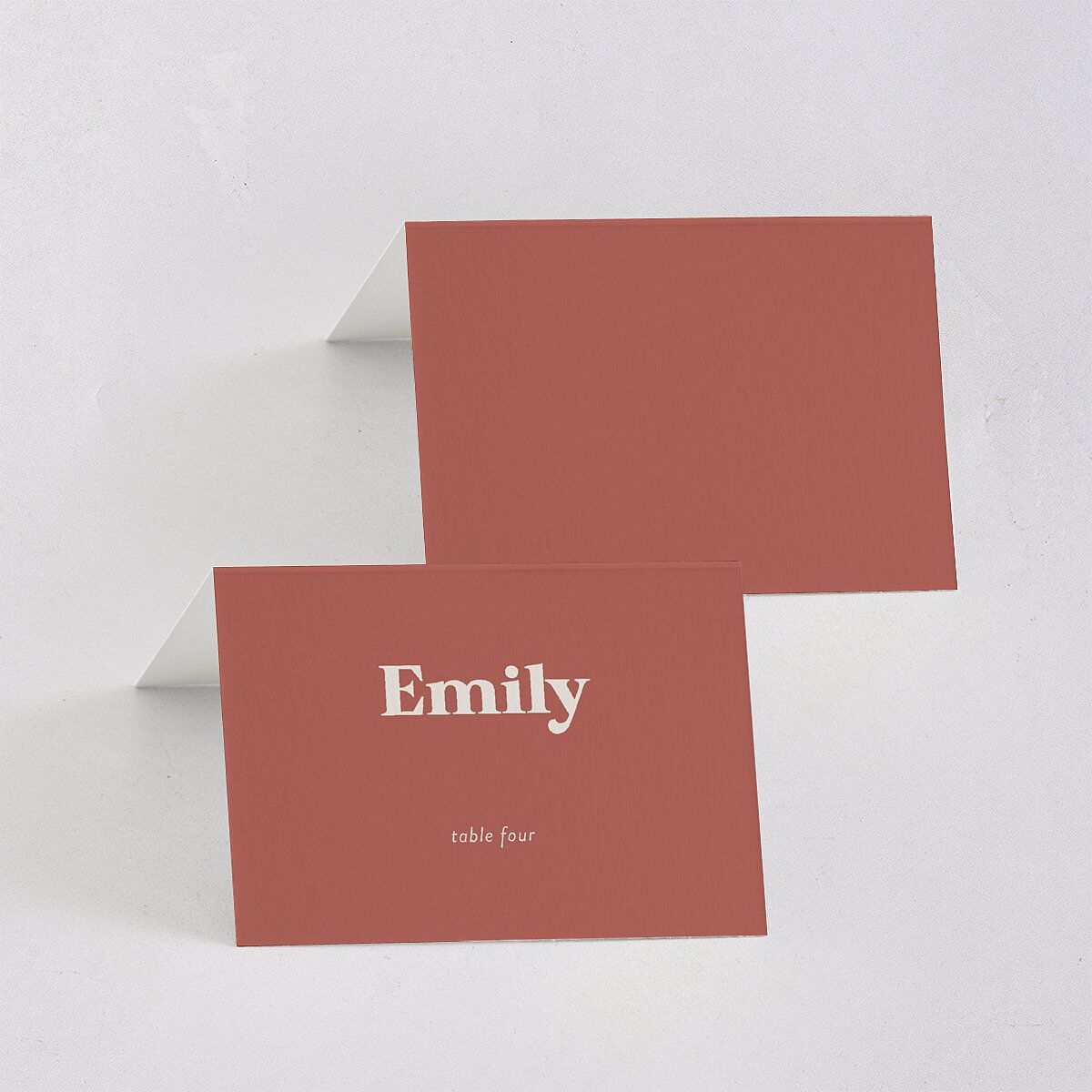 Custom Pet Portrait Place Cards Desert Rose Signature