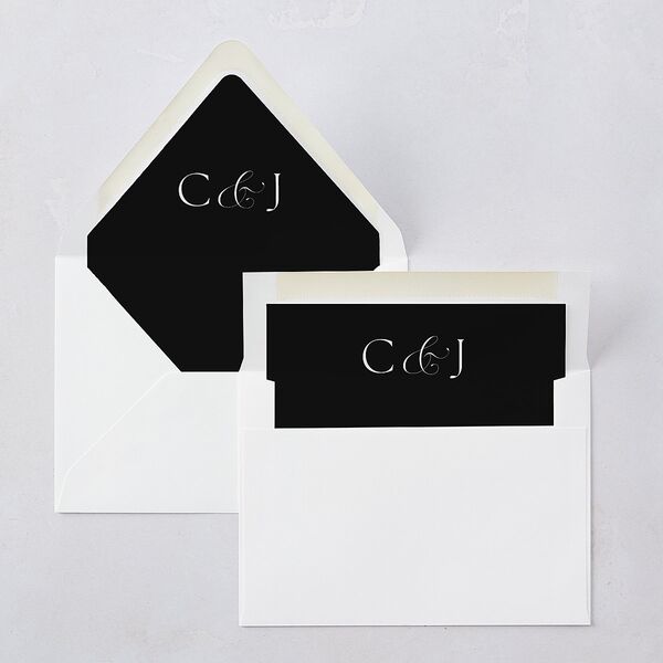 Classically Captured Photo Landscape Euro Envelope Liners Midnight Luxe