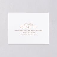 Striking Scene All-in-One Wedding Invitations Dusty Rose Signature Light Both Recipient and Return Addresses No