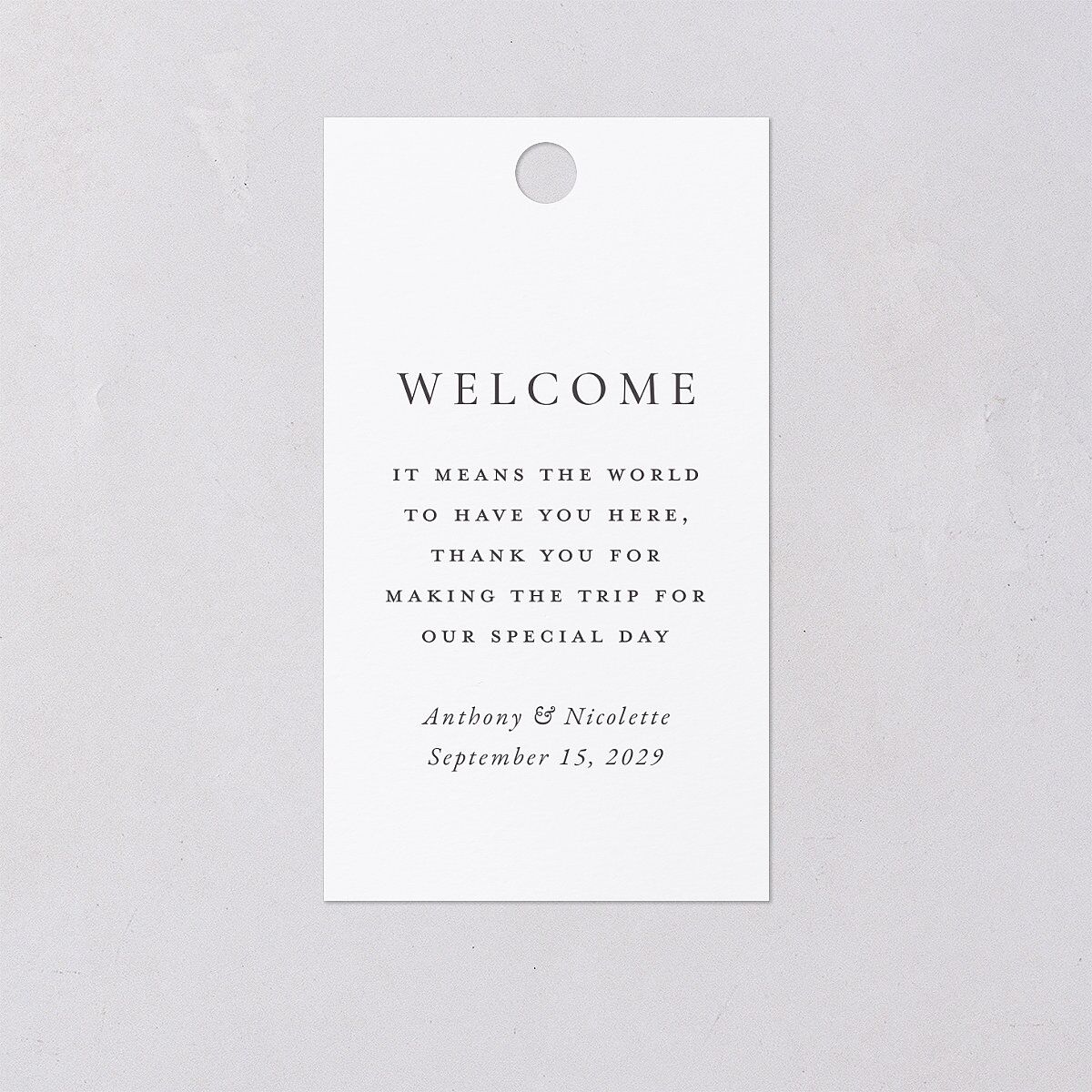 Elegant Photo Monogram Favor Gift Tags Pure White Signature