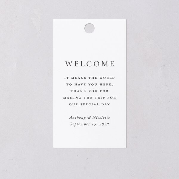 Elegant Photo Monogram Favor Gift Tags Pure White Signature