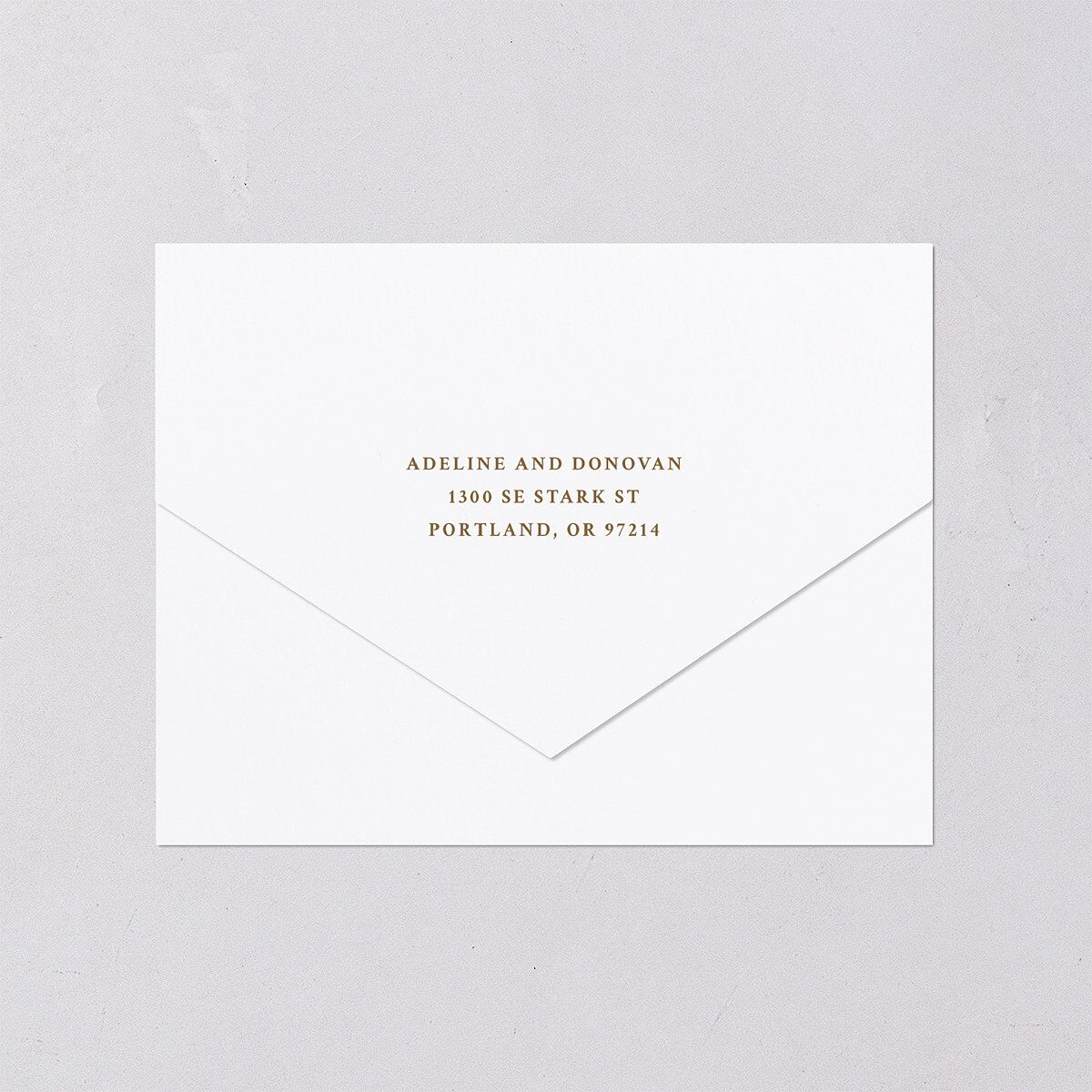 Farmhouse Lights All-in-One Wedding Invitations Walnut Signature Light Both Recipient and Return Addresses No