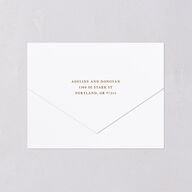 Farmhouse Lights All-in-One Wedding Invitations Walnut Signature Light Both Recipient and Return Addresses No