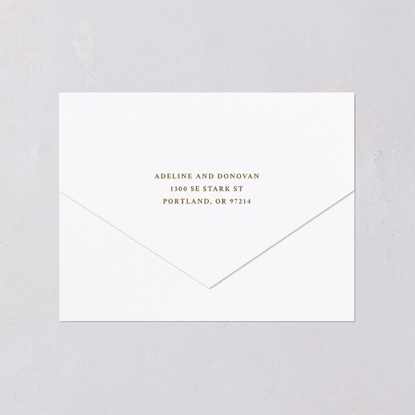 Farmhouse Lights All-in-One Wedding Invitations Walnut Signature Light Both Recipient and Return Addresses No