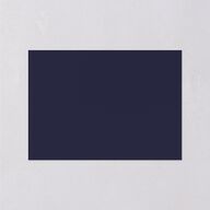 Rustic Branch Frame Wedding Response Cards Navy Signature Standard