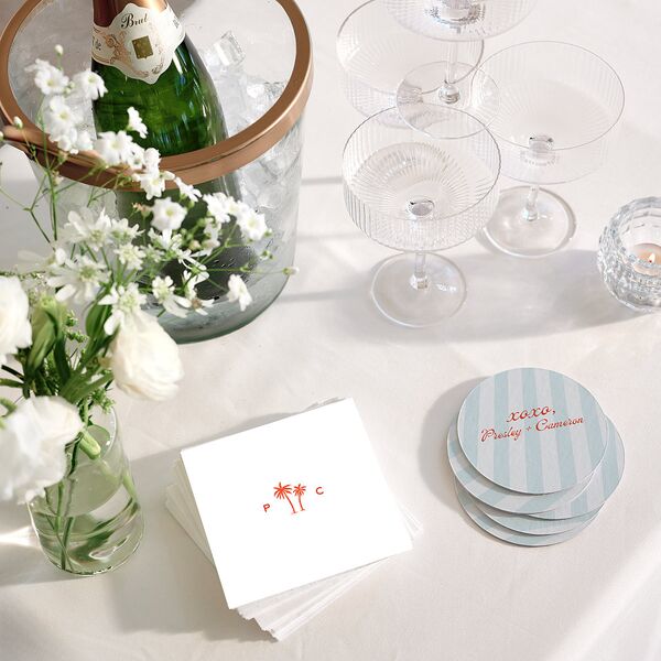 Cabana Stripes Cocktail Napkins Pastel Blue Napkin Uncoined
