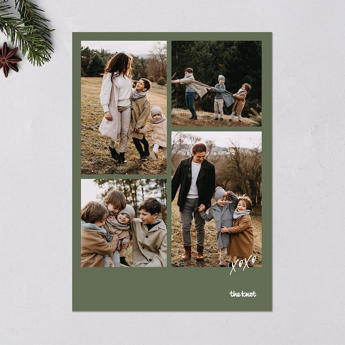 Signature Holiday Holiday Cards Deep Olive Signature Blank Standard Portrait