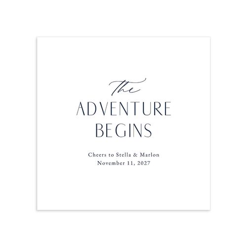Timeless Floral Hoop Cocktail Napkins Moody Blue Napkin Uncoined
