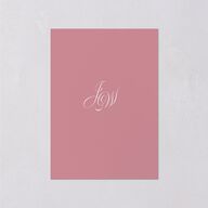 Vintage Love Doves Wedding Enclosure Cards Shell Pink Signature Standard