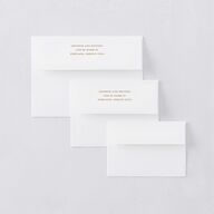 Fairytale Garden Wedding Invitation Envelopes Sage White Both Recipient and Return Addresses Standard Signature