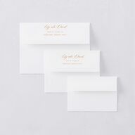 Indian Majestic Legacy Elephants Save The Date Card Envelopes White Mulberry Both Recipient and Return Addresses Signature Standard