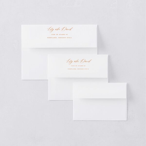 Indian Majestic Legacy Elephants Save The Date Card Envelopes White Mulberry Both Recipient and Return Addresses Signature Standard