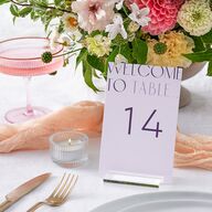 Real Talk Table Numbers Sheer Lilac Signature