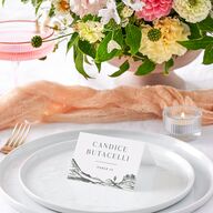 Western Cactus Place Cards Eucalyptus Signature