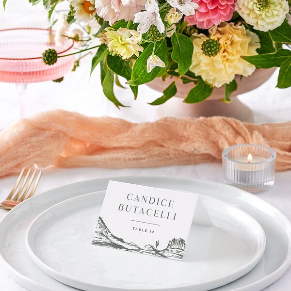 Western Cactus Place Cards Eucalyptus Signature