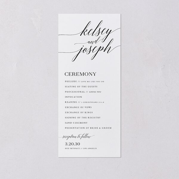 Painted Minimal Wedding Programs Midnight Signature