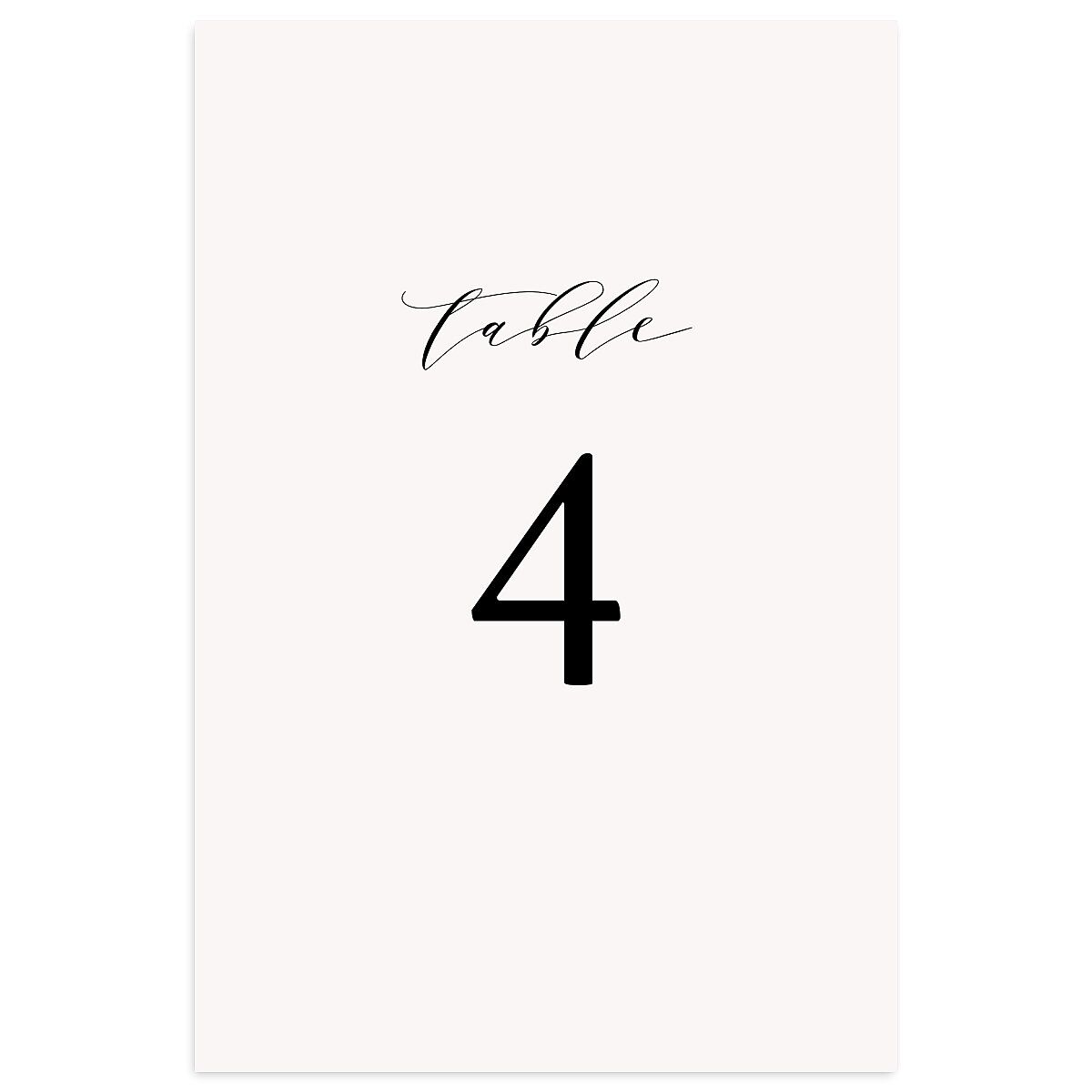Simply Elegant Table Numbers