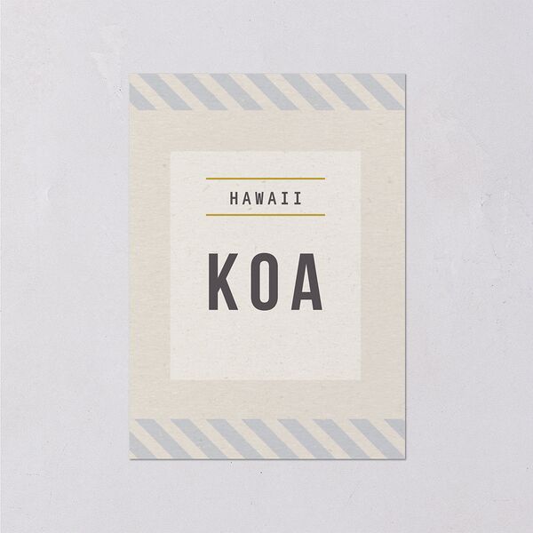 Retro Boarding Pass Travel Ticket Wedding Response Cards Slate Signature Standard