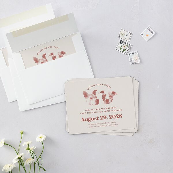 Custom Pet Portrait Save The Date Magnets Desert Rose Magnet Paper
