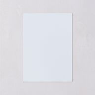 Elegant Antique Toile Frame Wedding Response Cards by Bridgerton Cruise Signature Standard