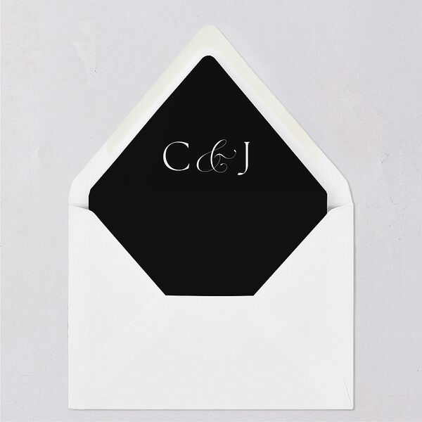 Classically Captured Photo Landscape Euro Envelope Liners Midnight Luxe
