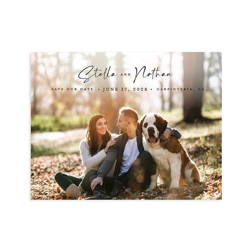 Floral Arc Save the Date Petite Cards Shell Pink Signature smooth Blank No Standard