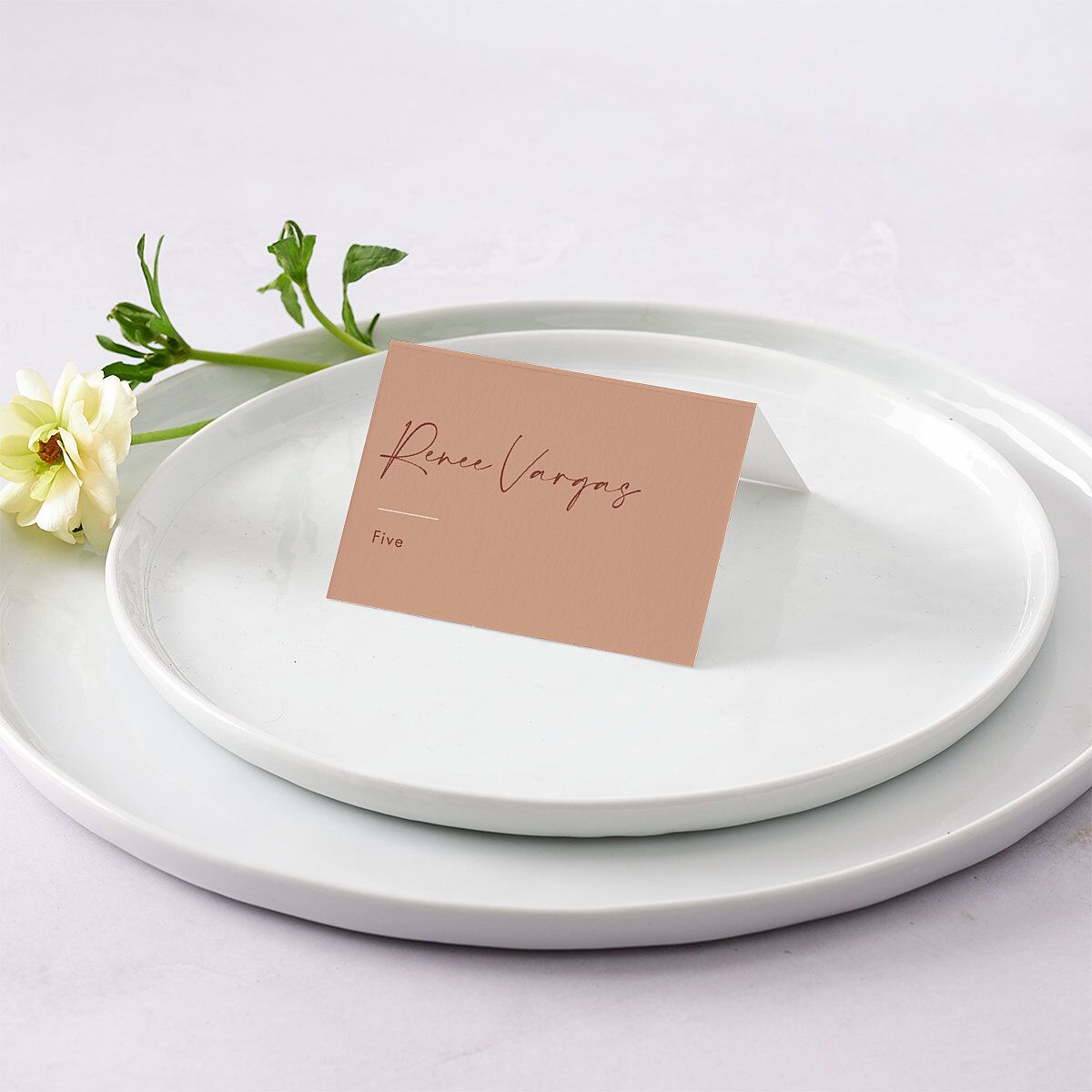 Simple Script Place Cards Vintage Pink Signature