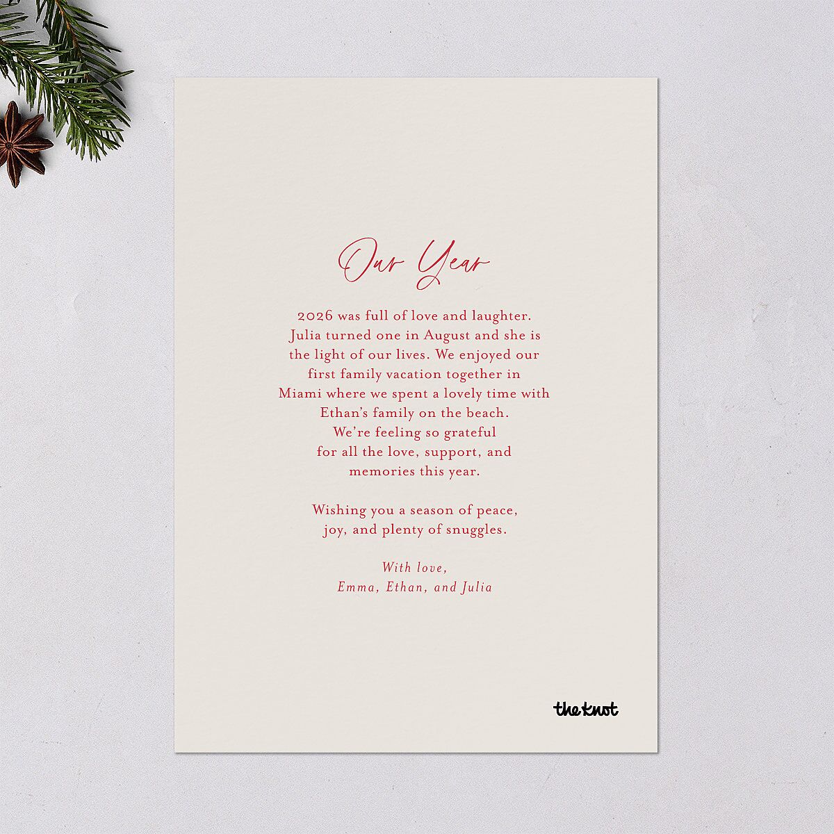 Instant Film Christmas Confetti Holiday Cards Ivory Signature Blank Portrait Standard