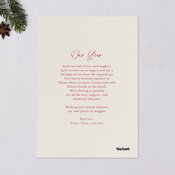 Instant Film Christmas Confetti Holiday Cards Ivory Signature Blank Portrait Standard