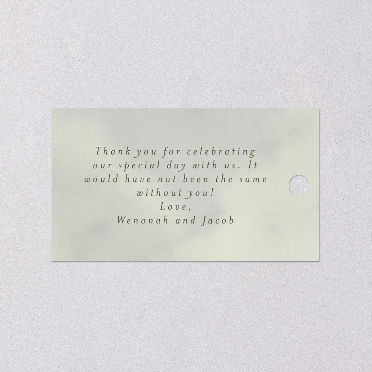 Western Valley Favor Gift Tags Sage Signature