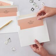 Desert Cactus Envelope Liners Peach Fuzz Standard