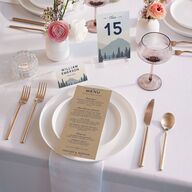 Vintage Mountain Table Numbers Dusty Blue Signature