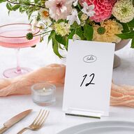 Sunny Day Modern Script Table Numbers Pure White Signature