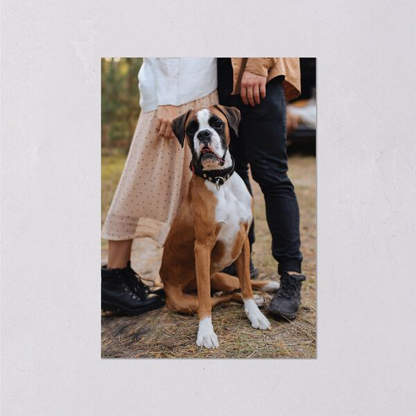 Simply Captured Wedding Enclosure Cards Linen Signature Standard