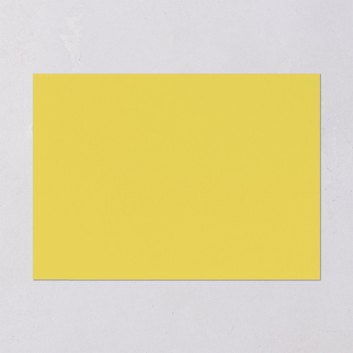 Botanical Lemon Wedding Invitations Buttercup Signature Blank No Standard