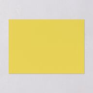 Botanical Lemon Wedding Invitations Buttercup Signature Blank No Standard