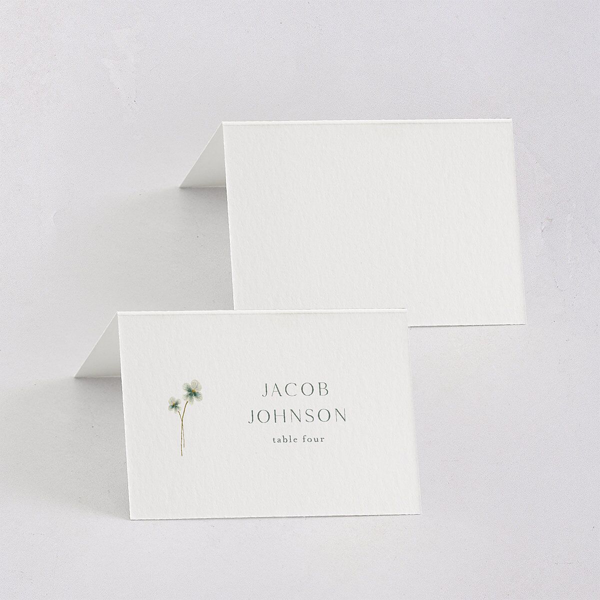 Dainty Monogram Place Cards Moon Rock Signature