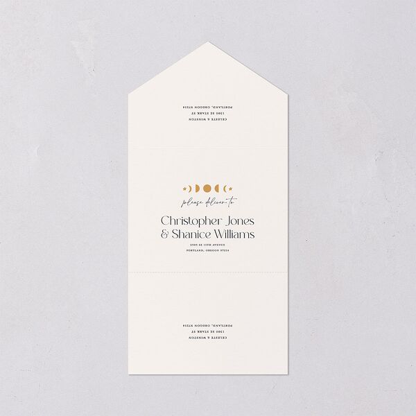 Celestial Galaxy All-in-One Wedding Invitations Dark Navy Signature Light Both Recipient and Return Addresses No