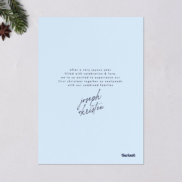 Merry Photobooth Holiday Cards Stream Signature Blank Standard Portrait