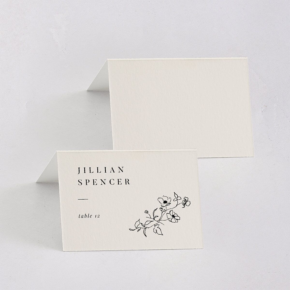 Elegant Minimal Place Cards Champagne Signature