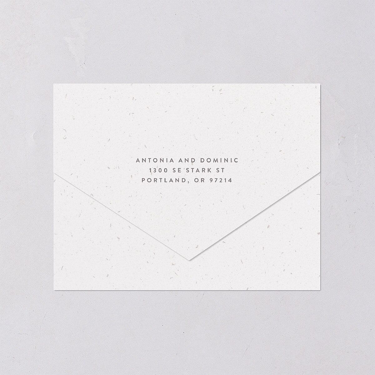 Timeless Passport All-in-One Wedding Invitations Shell Pink Signature Light Both Recipient and Return Addresses No