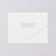 Timeless Passport All-in-One Wedding Invitations Shell Pink Signature Light Both Recipient and Return Addresses No
