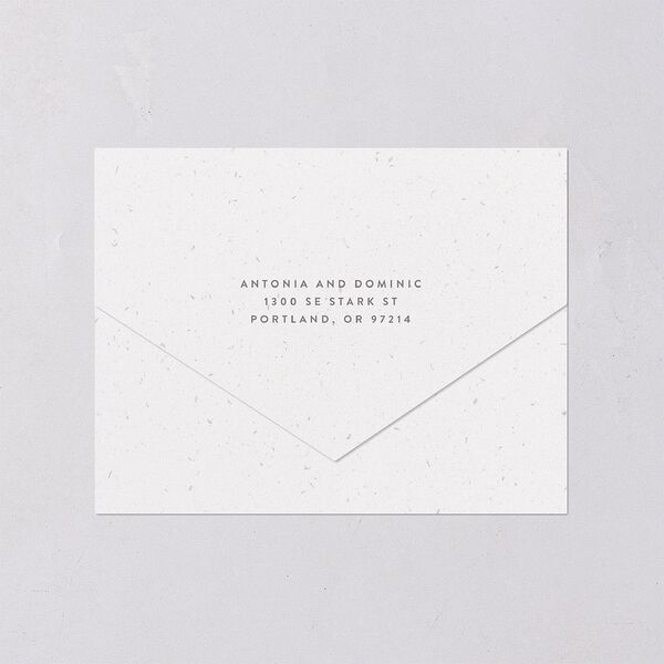Timeless Passport All-in-One Wedding Invitations Shell Pink Signature Light Both Recipient and Return Addresses No
