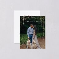 Enchanted Evening Save the Date Petite Cards Rust Signature smooth Blank No Standard