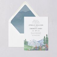 Mountain Wildflowers Euro Envelope Liners Dusty Blue Luxe