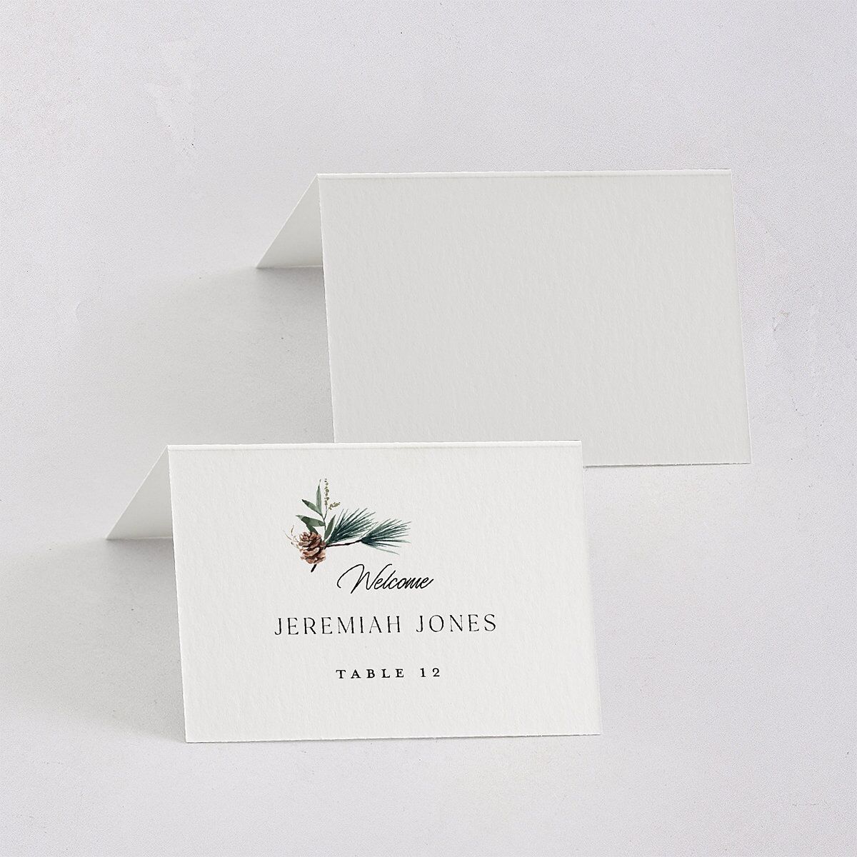 Rustic Pine Place Cards Eucalyptus Signature