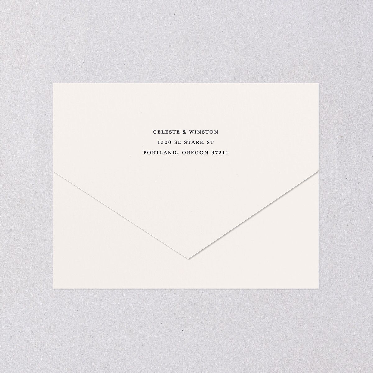 Celestial Galaxy All-in-One Wedding Invitations Dark Navy Signature Light Both Recipient and Return Addresses No
