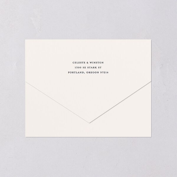 Celestial Galaxy All-in-One Wedding Invitations Dark Navy Signature Light Both Recipient and Return Addresses No
