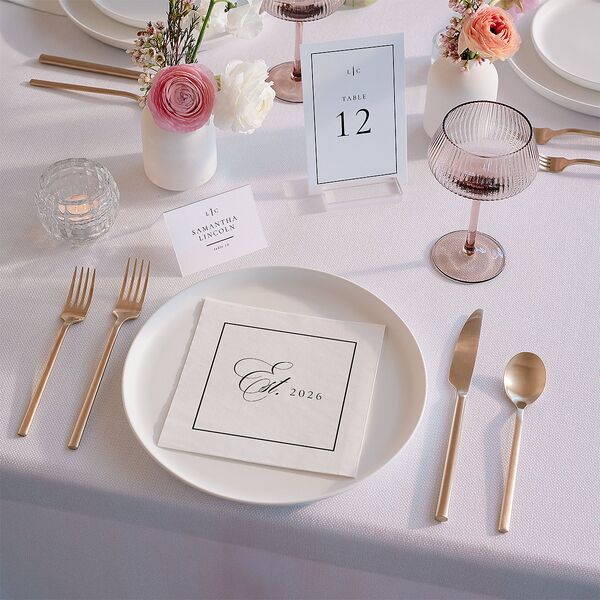 Lasting Frame Luncheon Napkins Pure White Napkin Uncoined